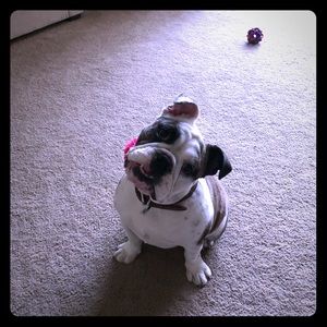 Meet your Posher, Anna